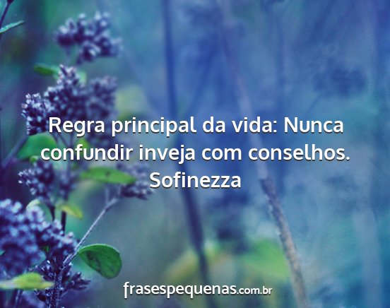 Sofinezza - Regra principal da vida: Nunca confundir inveja...