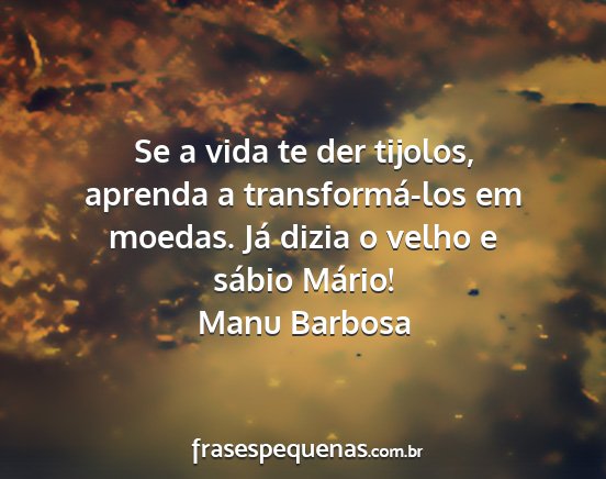 Manu Barbosa - Se a vida te der tijolos, aprenda a...