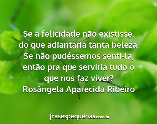 Rosângela Aparecida Ribeiro - Se a felicidade não existisse, do que adiantaria...