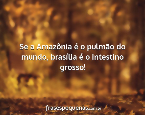 Se a Amazônia é o pulmão do mundo, brasília...