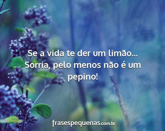 Se a vida te der um limão... Sorria, pelo menos...