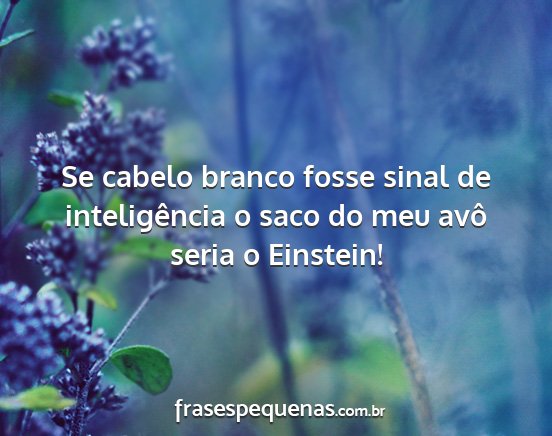 Se cabelo branco fosse sinal de inteligência o...