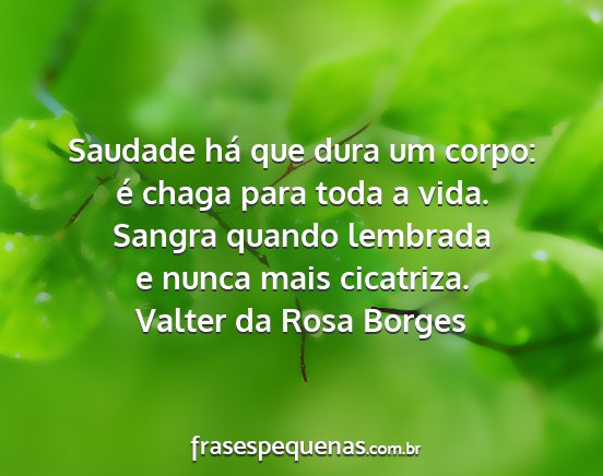 Valter da Rosa Borges - Saudade há que dura um corpo: é chaga para toda...