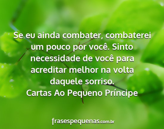 Cartas Ao Pequeno Príncipe - Se eu ainda combater, combaterei um pouco por...