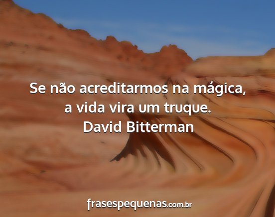 David Bitterman - Se não acreditarmos na mágica, a vida vira um...