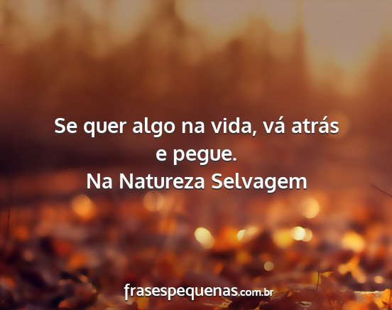 Na Natureza Selvagem - Se quer algo na vida, vá atrás e pegue....