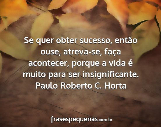 Paulo Roberto C. Horta - Se quer obter sucesso, então ouse, atreva-se,...