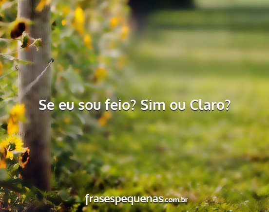 Se eu sou feio? Sim ou Claro?...