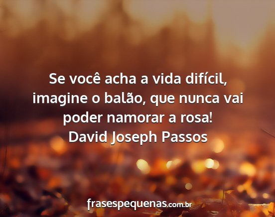 David Joseph Passos - Se você acha a vida difícil, imagine o balão,...