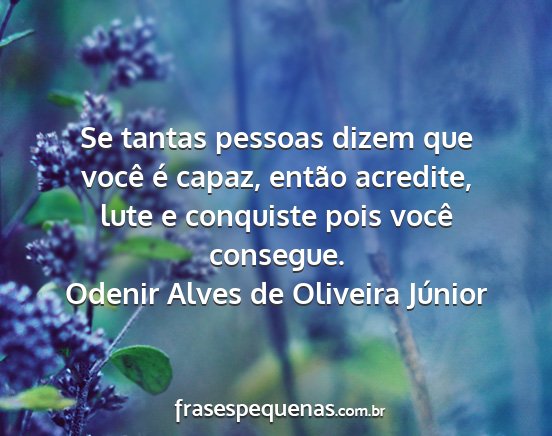 Odenir Alves de Oliveira Júnior - Se tantas pessoas dizem que você é capaz,...