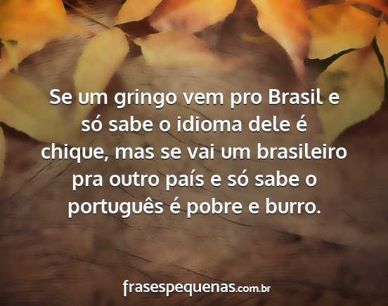 Se um gringo vem pro Brasil e só sabe o idioma...