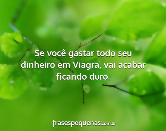 Se você gastar todo seu dinheiro em Viagra, vai...