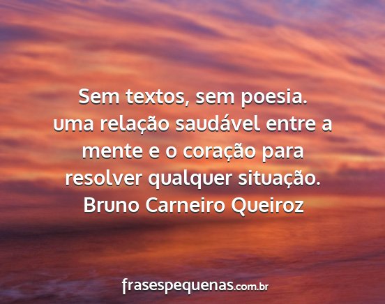 Bruno Carneiro Queiroz - Sem textos, sem poesia. uma relação saudável...