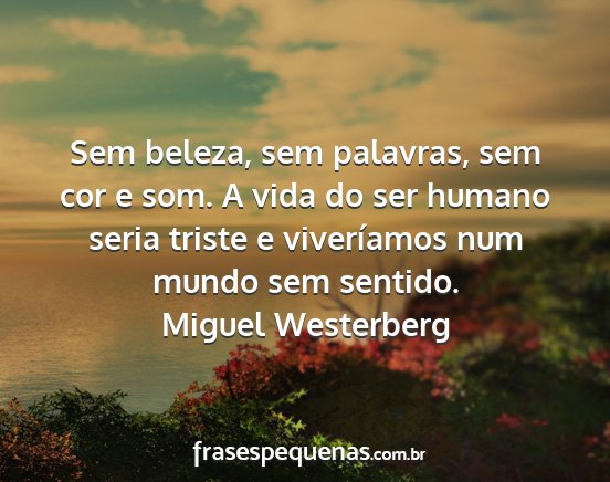 Miguel Westerberg - Sem beleza, sem palavras, sem cor e som. A vida...