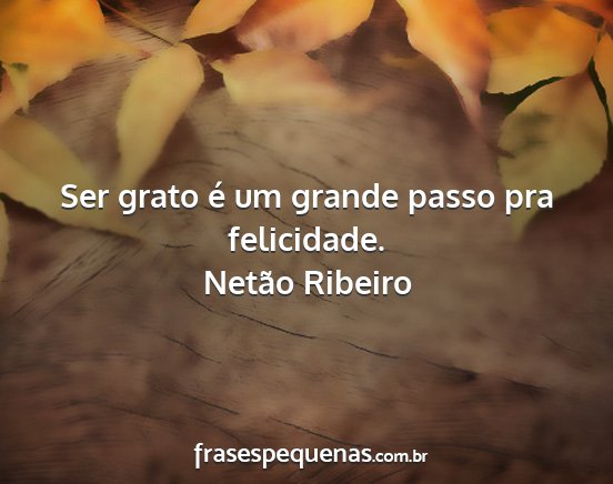 Netão Ribeiro - Ser grato é um grande passo pra felicidade....