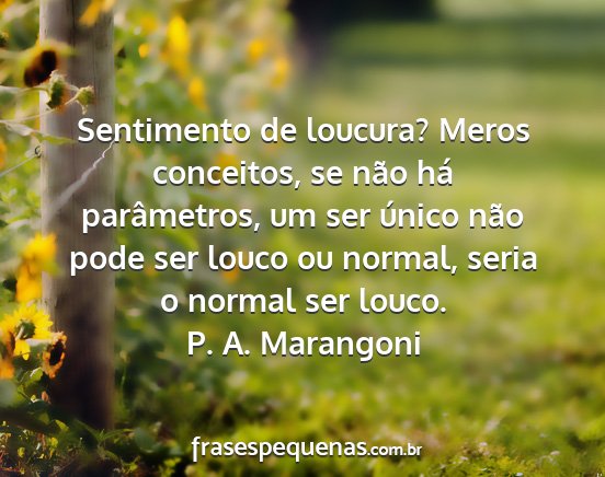 P. A. Marangoni - Sentimento de loucura? Meros conceitos, se não...