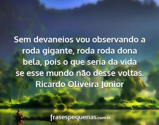 Ricardo Oliveira Junior - Sem devaneios vou observando a roda gigante, roda...