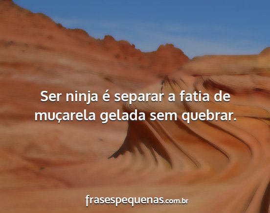 Ser ninja é separar a fatia de muçarela gelada...