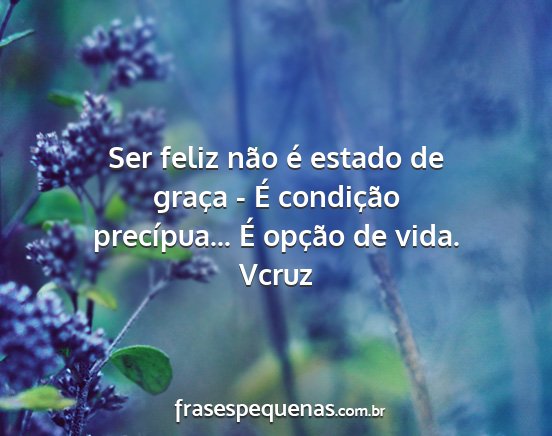 Vcruz - Ser feliz não é estado de graça - É...