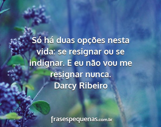 Darcy Ribeiro - Só há duas opções nesta vida: se resignar ou...
