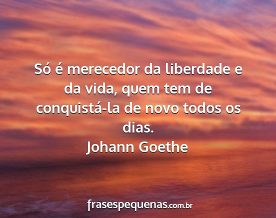 Johann Goethe - Só é merecedor da liberdade e da vida, quem tem...