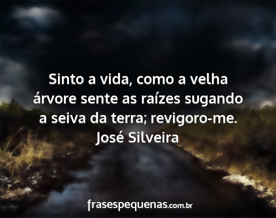 José Silveira - Sinto a vida, como a velha árvore sente as...