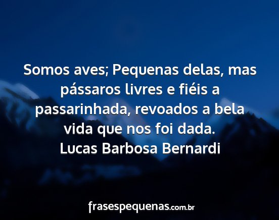 Lucas Barbosa Bernardi - Somos aves; Pequenas delas, mas pássaros livres...