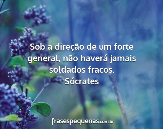 Sócrates - Sob a direção de um forte general, não haverá...