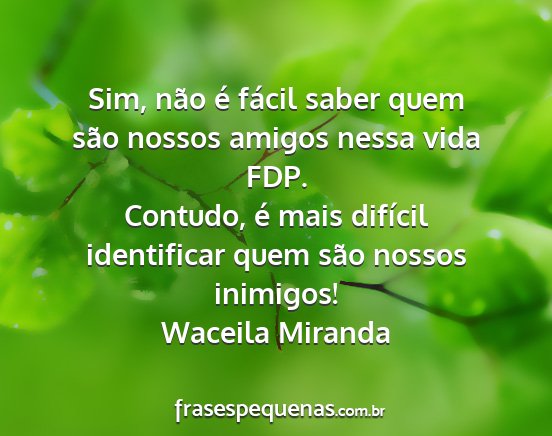 Waceila Miranda - Sim, não é fácil saber quem são nossos amigos...