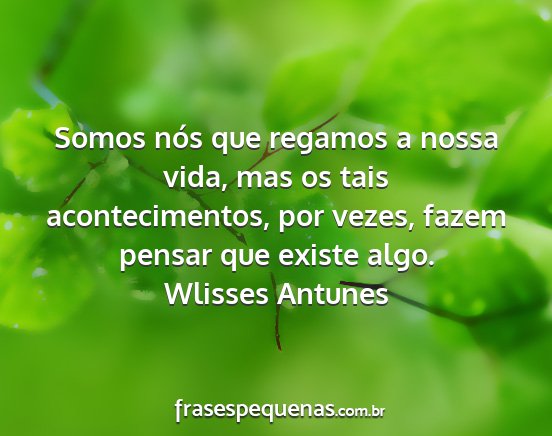 Wlisses Antunes - Somos nós que regamos a nossa vida, mas os tais...