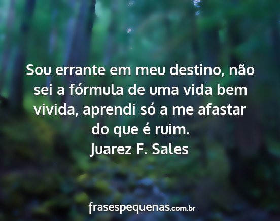 Juarez F. Sales - Sou errante em meu destino, não sei a fórmula...