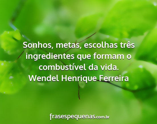 Wendel Henrique Ferreira - Sonhos, metas, escolhas três ingredientes que...