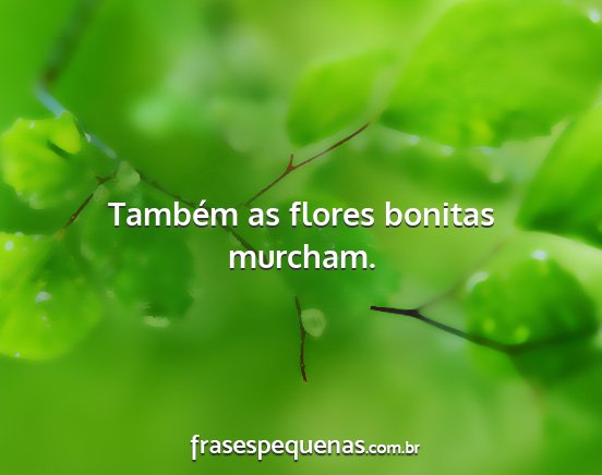 Também as flores bonitas murcham....