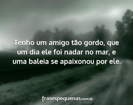 Tenho um amigo tão gordo, que um dia ele foi...