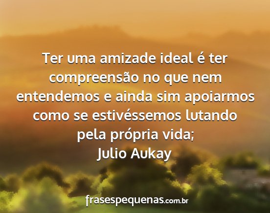 Julio Aukay - Ter uma amizade ideal é ter compreensão no que...