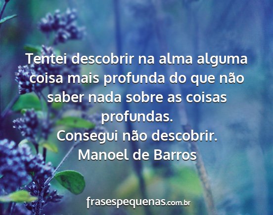 Manoel de Barros - Tentei descobrir na alma alguma coisa mais...