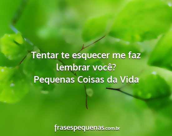 Pequenas Coisas da Vida - Tentar te esquecer me faz lembrar você?...