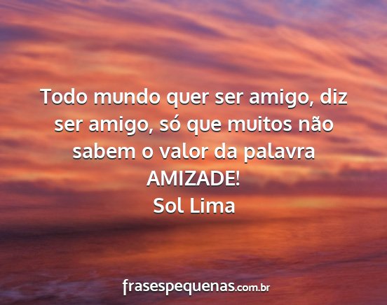 Sol Lima - Todo mundo quer ser amigo, diz ser amigo, só que...