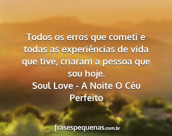 Soul Love - A Noite O Céu Perfeito - Todos os erros que cometi e todas as...