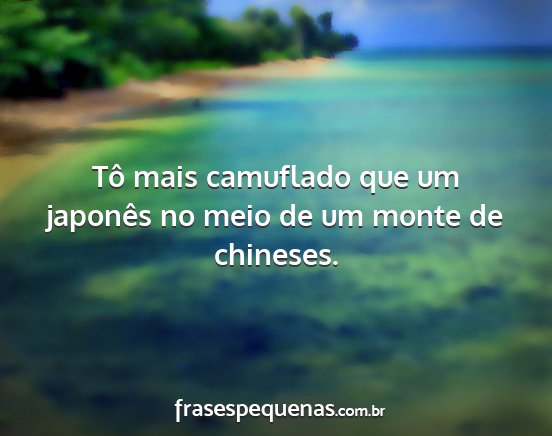Tô mais camuflado que um japonês no meio de um...
