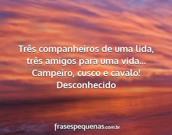 Desconhecido - Três companheiros de uma lida, três amigos para...