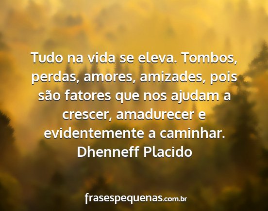 Dhenneff Placido - Tudo na vida se eleva. Tombos, perdas, amores,...