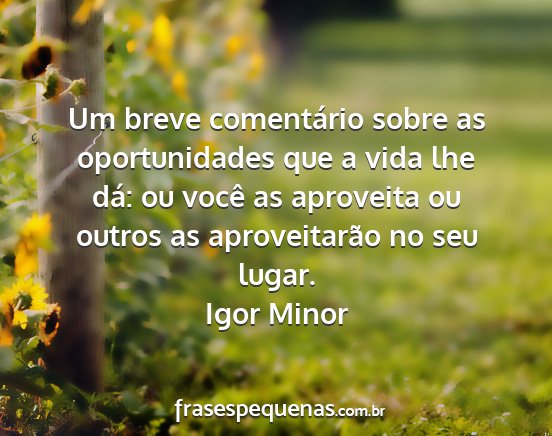 Igor Minor - Um breve comentário sobre as oportunidades que a...