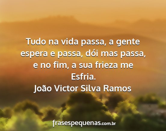 João Victor Silva Ramos - Tudo na vida passa, a gente espera e passa, dói...