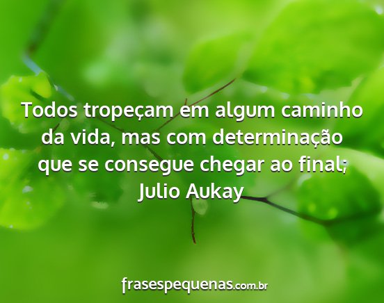 Julio Aukay - Todos tropeçam em algum caminho da vida, mas com...