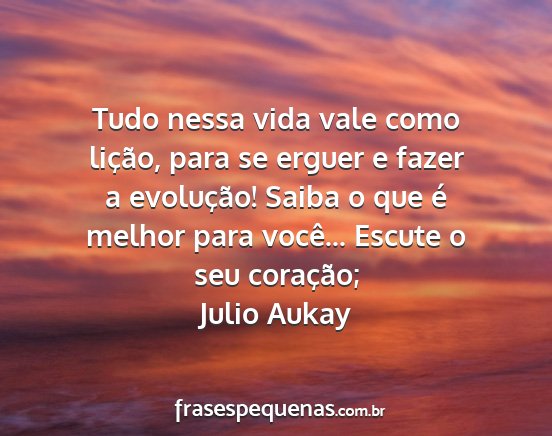 Julio Aukay - Tudo nessa vida vale como lição, para se erguer...