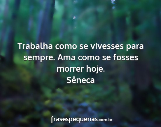 Sêneca - Trabalha como se vivesses para sempre. Ama como...