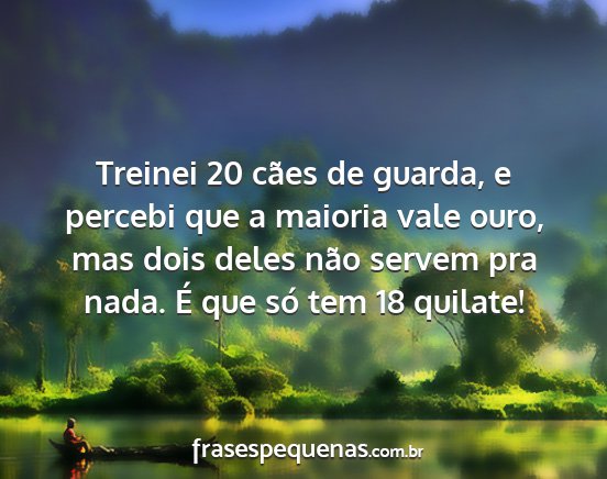 Treinei 20 cães de guarda, e percebi que a...