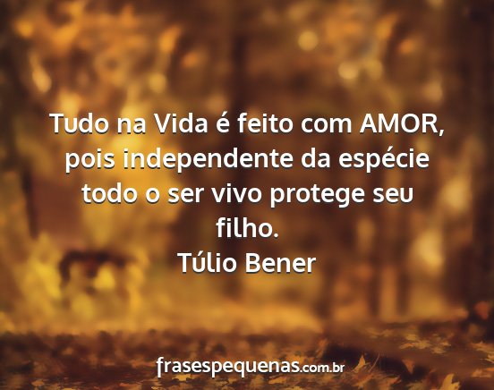 Túlio Bener - Tudo na Vida é feito com AMOR, pois independente...