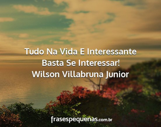 Wilson Villabruna Junior - Tudo Na Vida E Interessante Basta Se Interessar!...